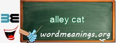 WordMeaning blackboard for alley cat